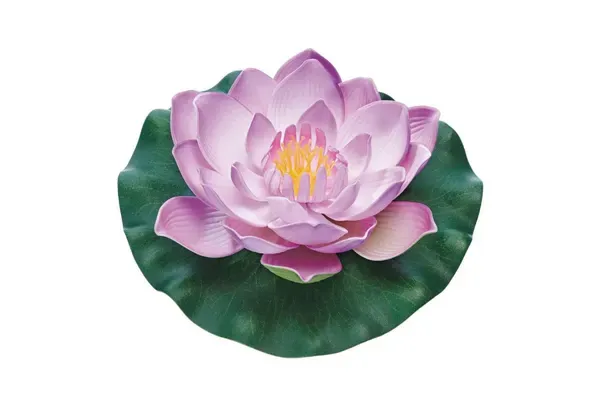 Jardines acuáticos – Decoración
